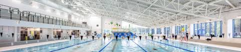 Image result for Maidenhead Marlins Swimming Club
