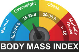 Bildresultat för bmi-tabell