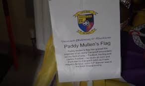 Image result for Carryduff Gaelic Athletic Club