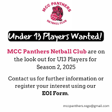 Image result for Onslow Pink Panthers Junior Netball Club