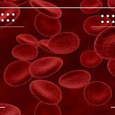 Image result for blood