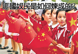 Image result for 國奴