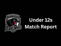 Image result for Chorley Panthers Rugby League Football Club