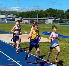 Image result for Pembrokeshire Harriers