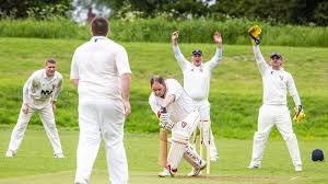 Image result for Barnby Dun & Kirk Sandall Sports Association