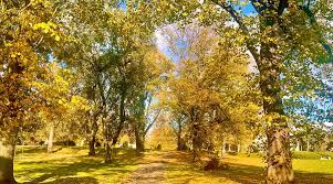 Image result for Baxter Park Bowling Club