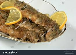 Attēlu rezultāti vaicājumam “Lampetra fluviatilis”