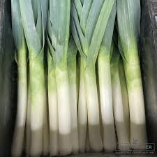 Image result for Porree