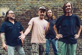 「ルーリック・スヴェインソン・スヴァルトヘイズ」の画像検索結果