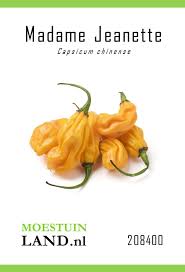 Afbeeldingsresultaat voor mme jeanette hot pepper