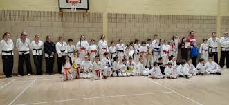 Image result for Northern Freestyle Karate Association