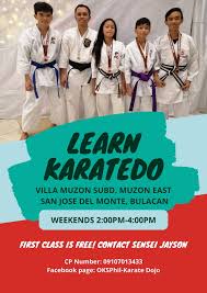 Image result for Kaizen No-Michi, Cleethorpes Karate Dojo