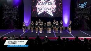 Image result for Phoenix Stars Cheerleaders