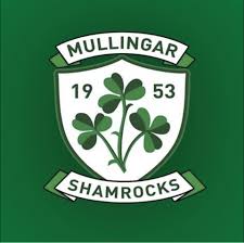 Image result for Shamrocks Hurling & Football Club
