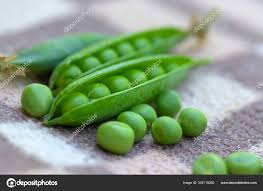 Attēlu rezultāti vaicājumam “Pisum sativum fruit”