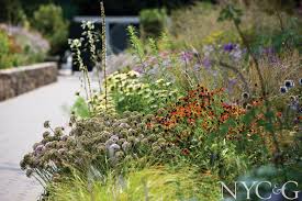 Image result for Piet Oudolf