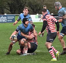 Image result for Wilmslow Rugby Union Football Club