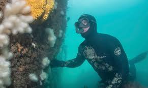 Image result for Torbay Sub-Aqua Club