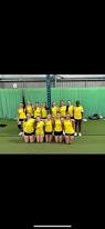 Image result for Chipping Sodbury Netball Club