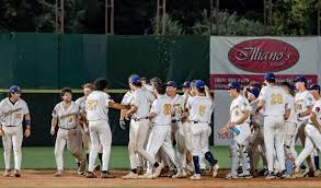Image result for Norwich Iceni Baseball Club