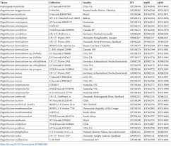Attēlu rezultāti vaicājumam “Plagiothecium sp.”