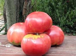 Afbeeldingsresultaat voor rose quartz tomato