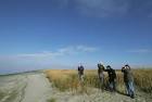 A group of four men birdwatch - via Daymix