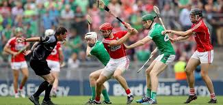 Image result for hurling