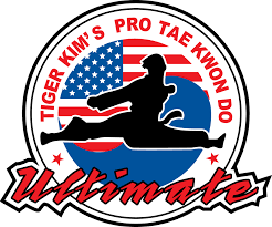 Image result for Kidderminster Tae Kwon Do Tigers