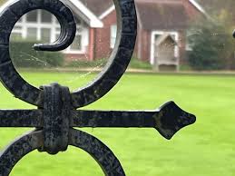 Image result for Silverthorn Bowling Club With Chingford Ladies Bowling Club