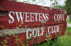 Image result for South Holderness Gc