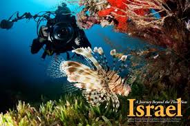 Image result for Three Seas Diving