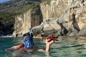 Image result for St. Albans Snorkelling Club (SASC)