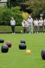 Image result for Caldicot Bowls Club