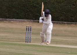 Image result for Aldershot Cricket Club