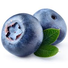 Attēlu rezultāti vaicājumam “Vaccinium myrtillus fruit”