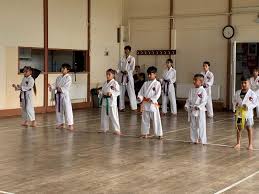 Image result for HEIWA SHOTOKAN KARATE CLUB