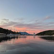 Image result for Apneists UK