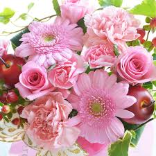 「花薔薇エルフ」の画像検索結果