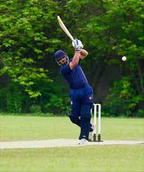 Image result for Wanstead Cricket Club