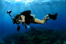 Image result for Dive Crew Scuba Diving