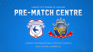 Image result for Penclawdd A F C