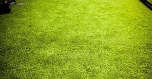 Image result for Fortnocks Health & Lifestyle Club