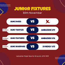 Image result for Hn Ladies Netball Club