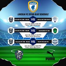 Image result for South Lincoln Jfc