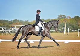 Image result for Lysander Badminton Club