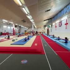 Image result for Swallows Of Helston Gym Club