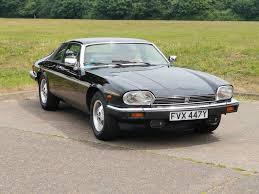 Image result for Sable Black 1982 Jaguar
