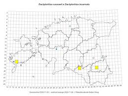 Attēlu rezultāti vaicājumam “Dactylorhiza russowii”