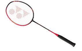 Image result for The 77 Badminton Club